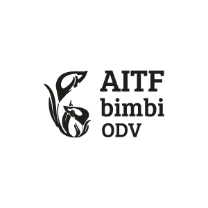 20 - AITF